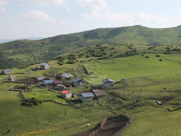 روستای زرچاک