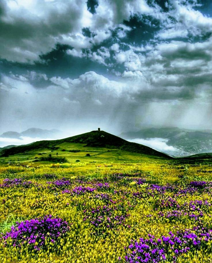 خصیلدشت