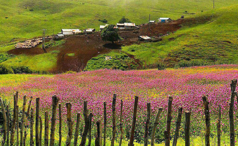 روستای خصیل دشت