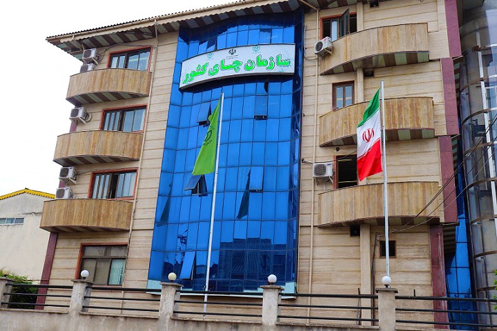 سازمان چای