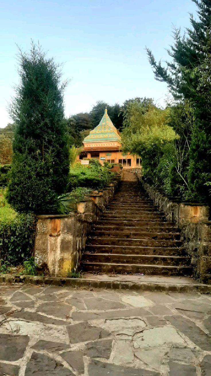 شیخ زاهد گیلانی