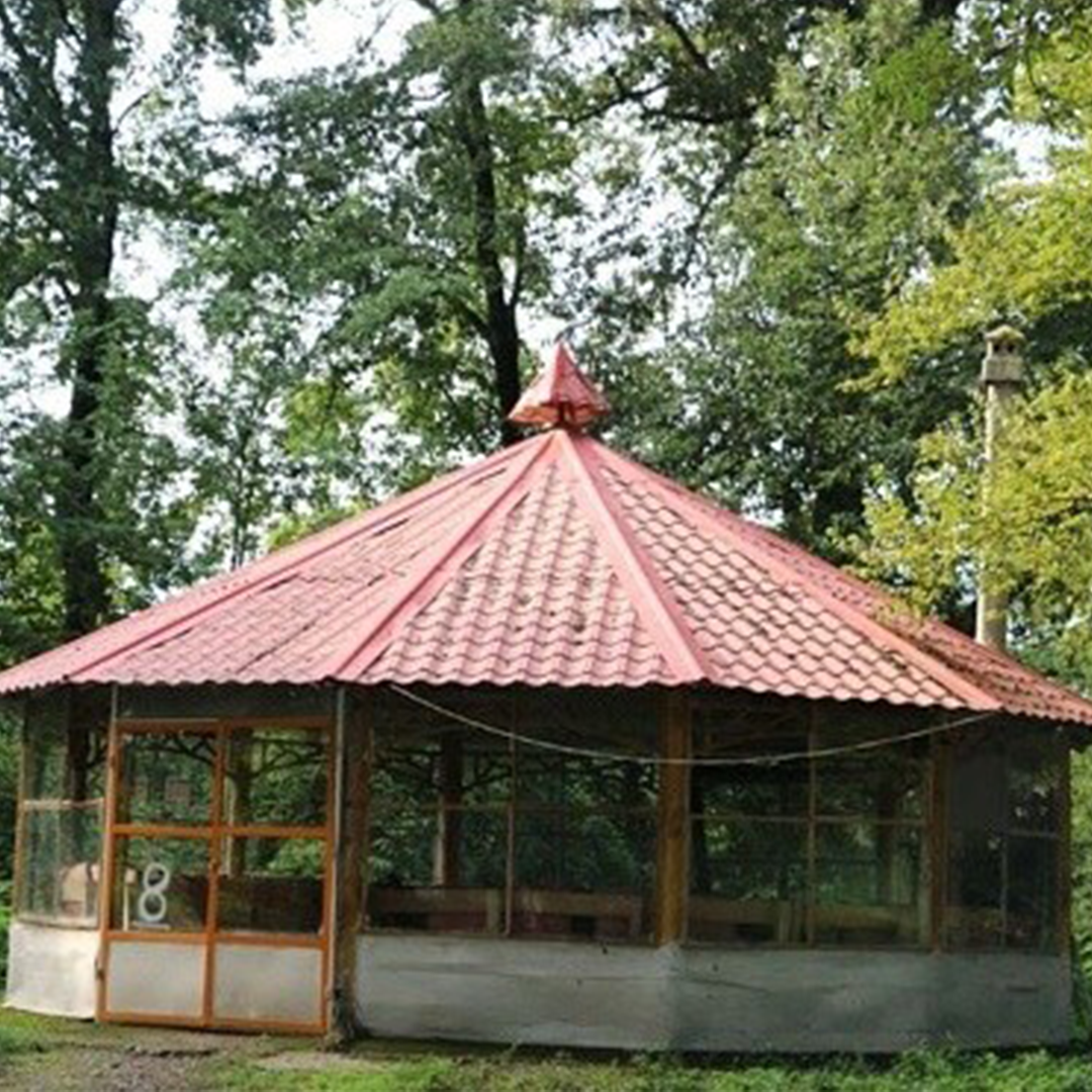 پارک جنگلی میرصفا