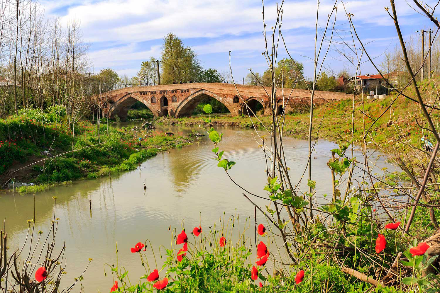 پل تمیجان