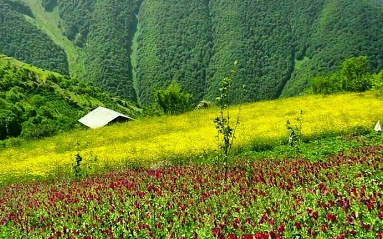 منطقه اشکورات