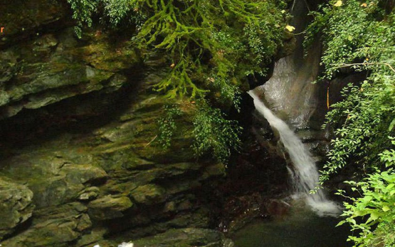 آبشار ماهی مشو