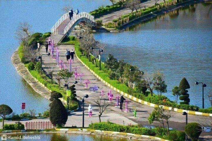 پارک فجر